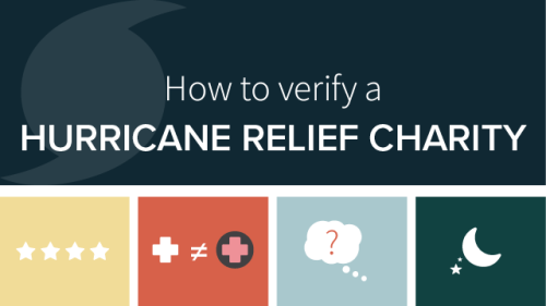 hurricane relief infographic thumbnail
